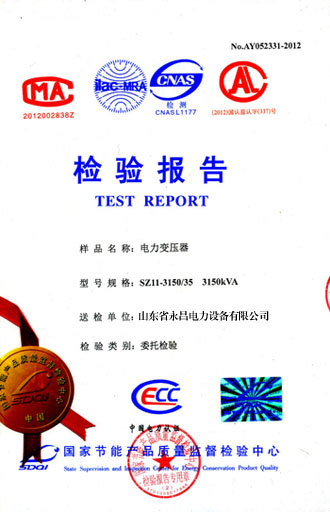 黑河电力变压器检测报告